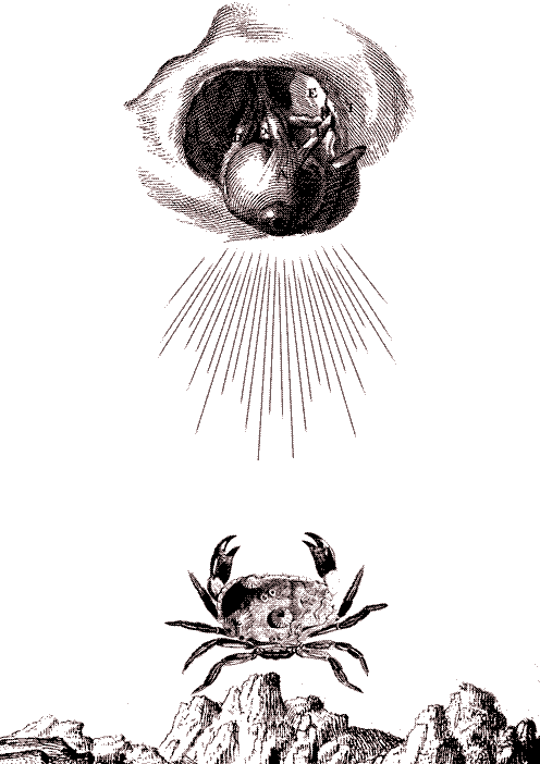 Illustrazione del Re Cremisi e del Granchio suo araldo